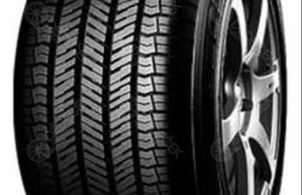 33305-0.webp