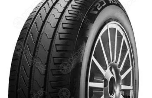 55335-0.webp